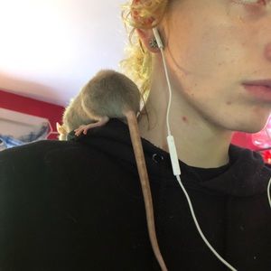 Meet your Posher, Jacob